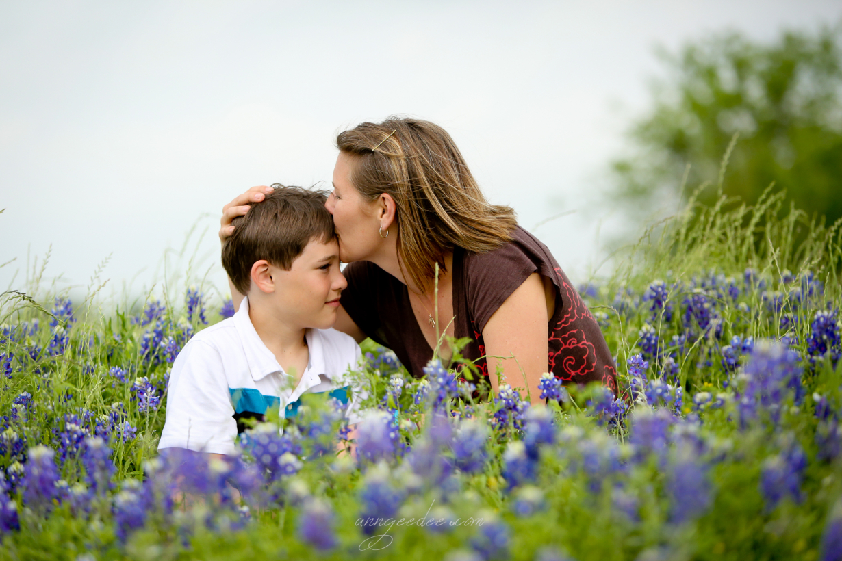 Bluebonnets 2014-3