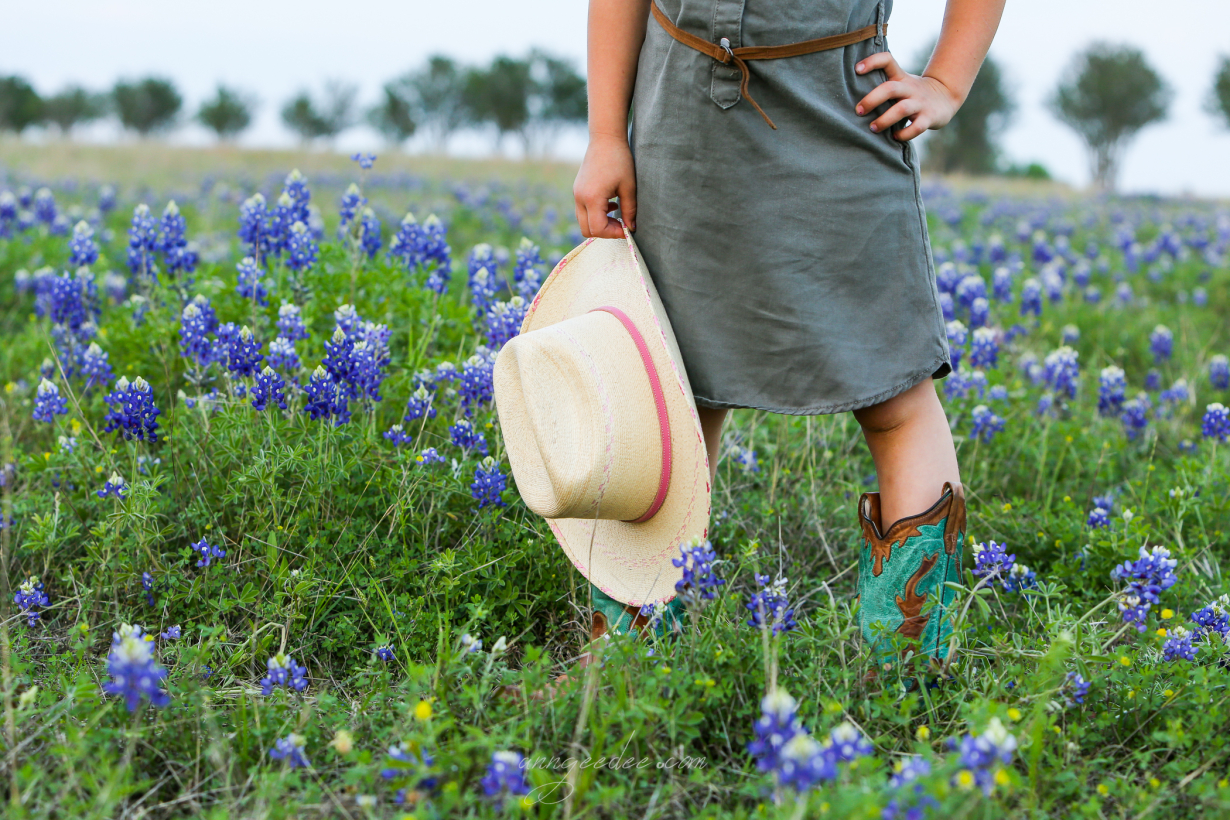 Bluebonnets 2015-2